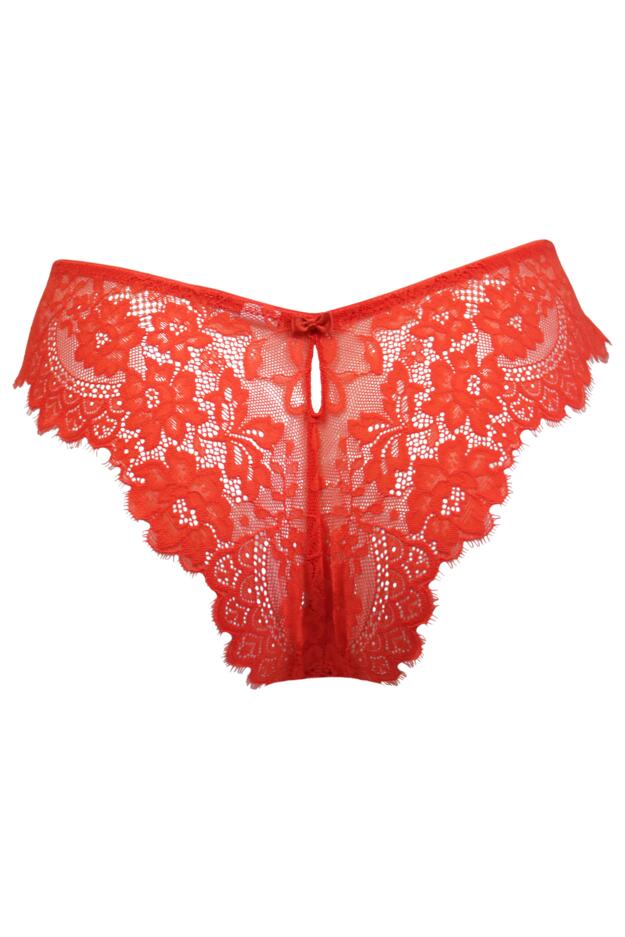 India Eyelash Lace V Brief 