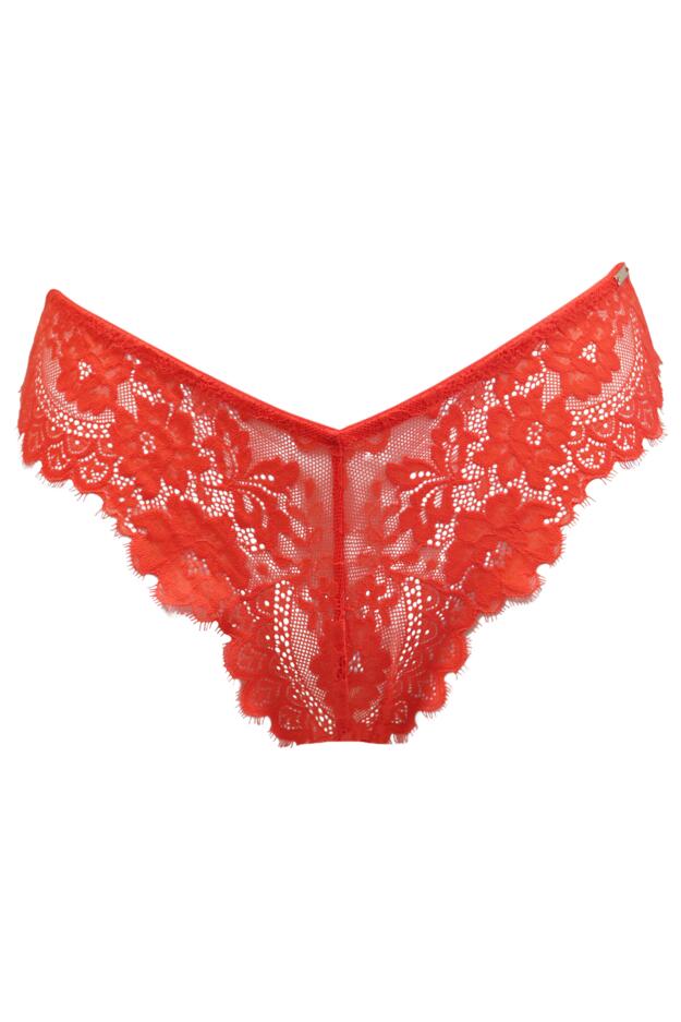 India Eyelash Lace V Brief 