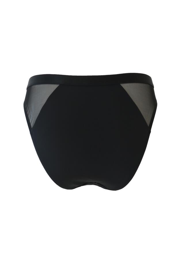 India Sheer and Opaque Brazilian Brief