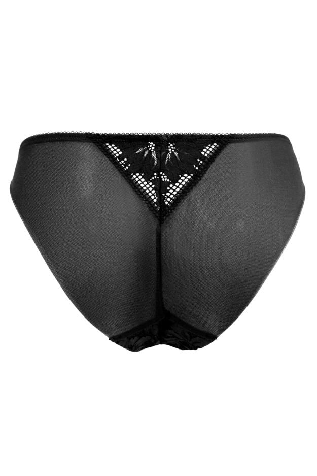 Reflection Brazilian Brief 