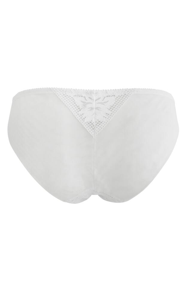 Reflection Brazilian Brief 
