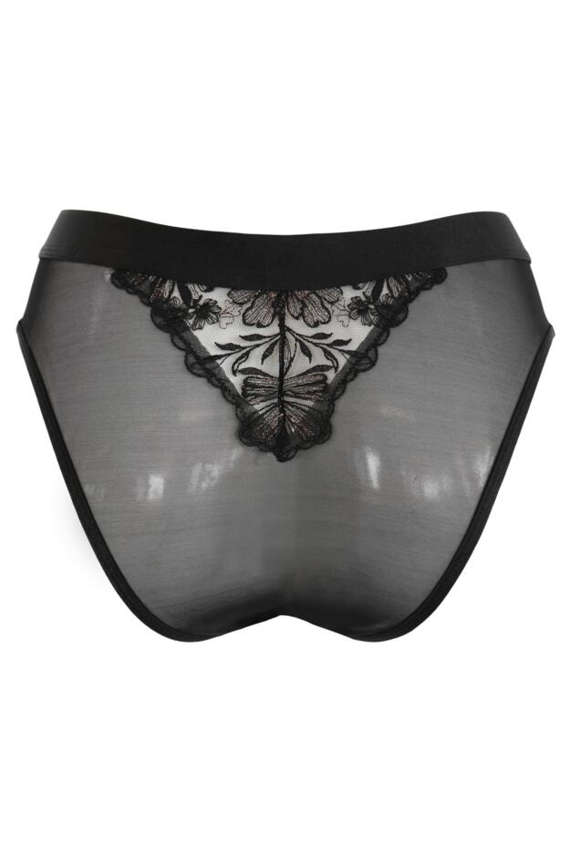 Constance V Brief