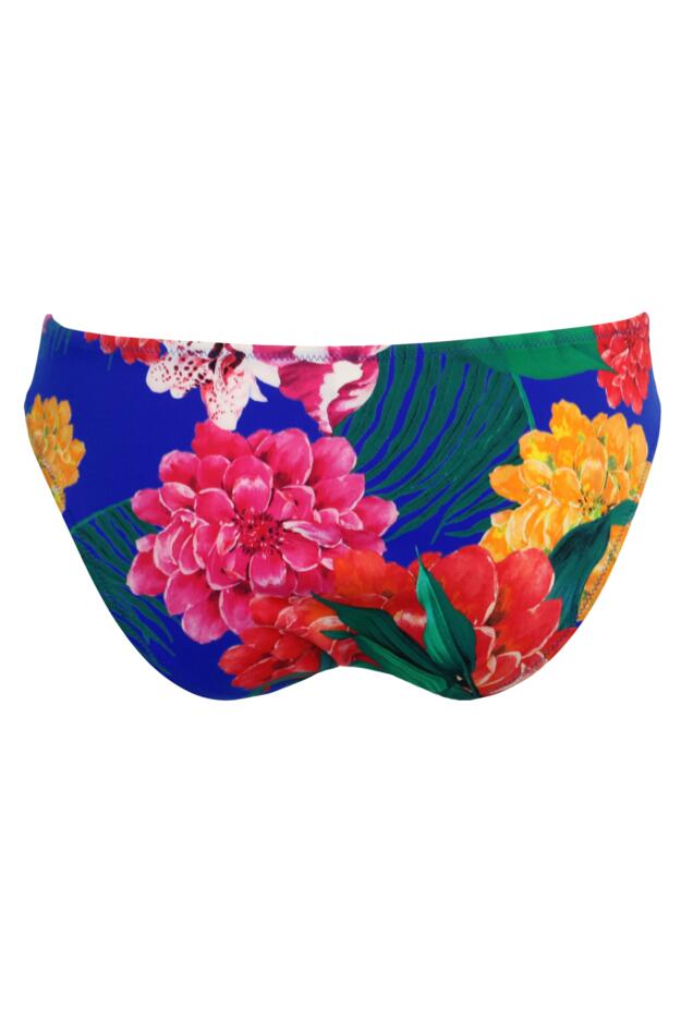 Antigua Brief