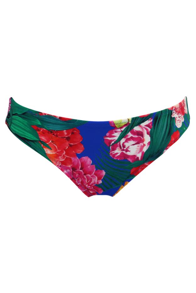 Antigua Brief