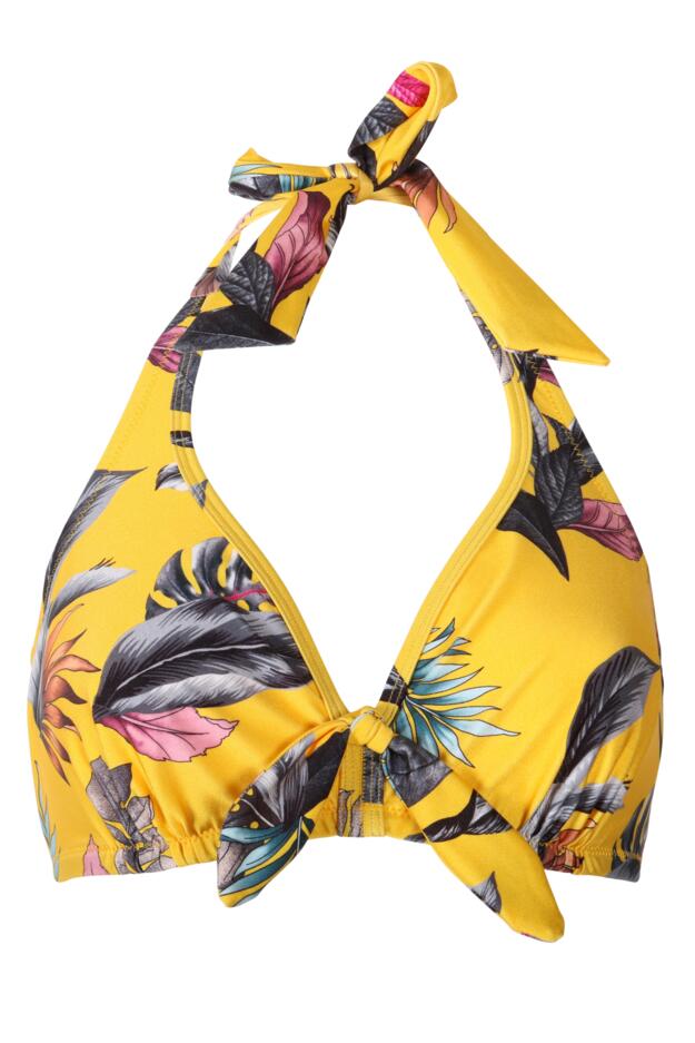 Paradiso Triangle Hidden Underwired Top