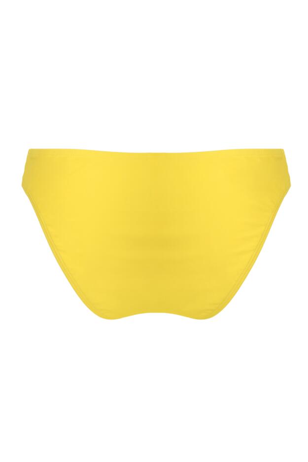 Gold Coast Brief