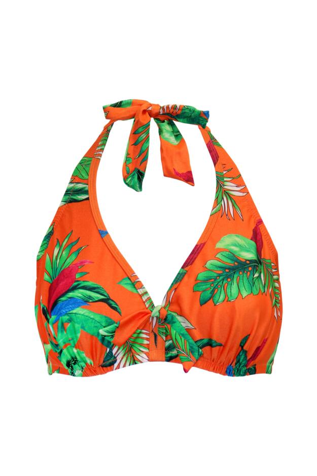 Paradiso Triangle Hidden Underwired Top