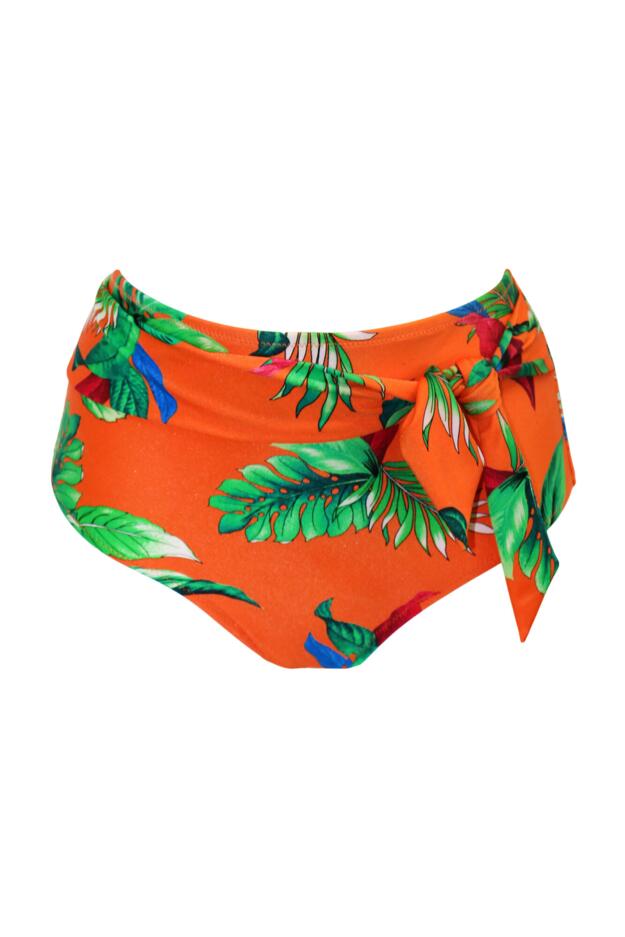 Paradiso Belted High Waisted Control Brief