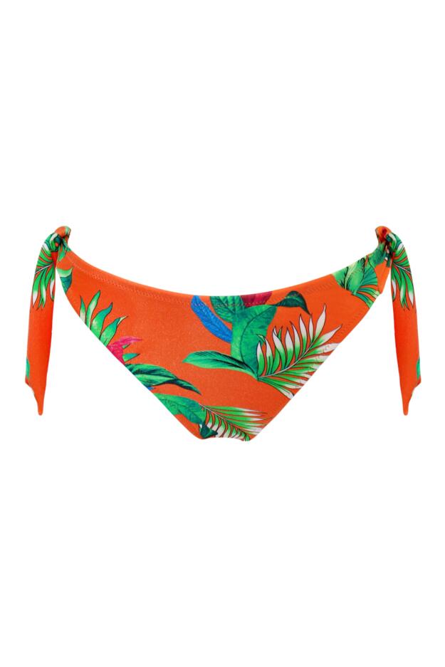 Paradiso Tie Side Bikini Brief