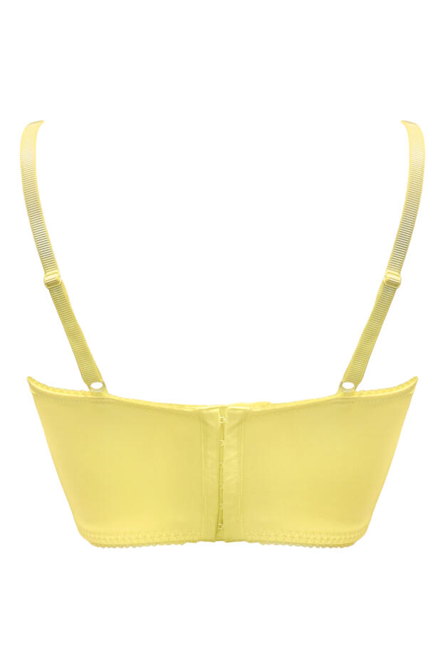 Swoon Underwired Bustier