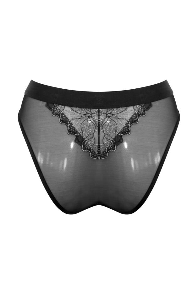Constance V Brief