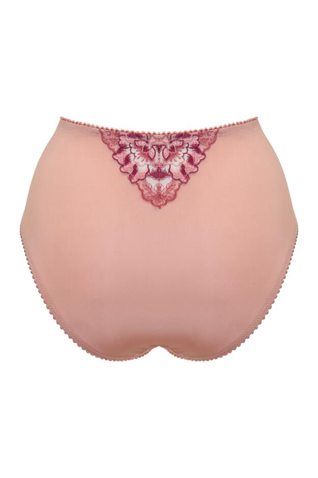 Sofia Emb Lace Embroidered Deep Brief